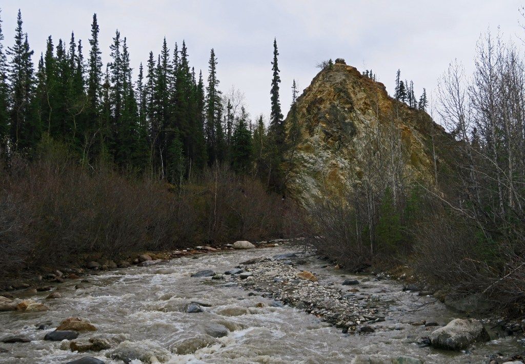 Denali National Park, Alaska