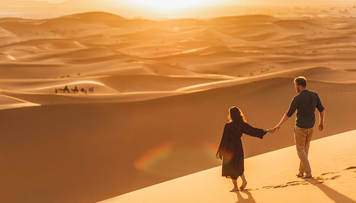 Desert Safari - Lost In The Golden Sands