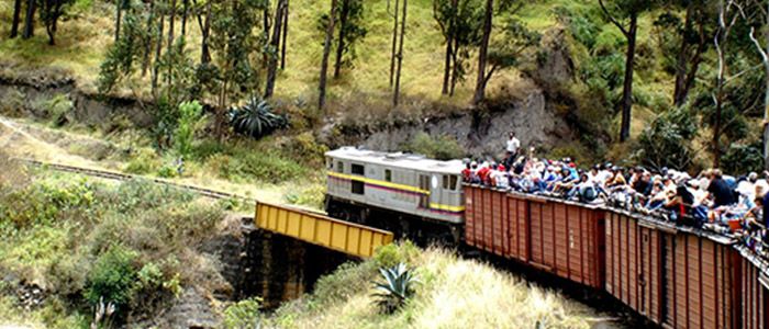 Devil's nose Train