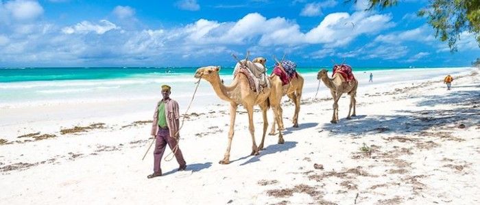 Diani Beach Kenya Travel