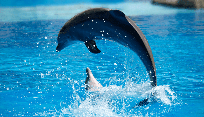 Things To Do In Dammam - Top 10 Experiences
