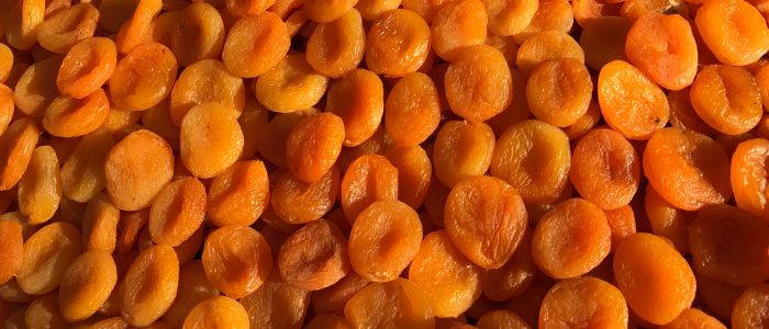 dried apricot turkey