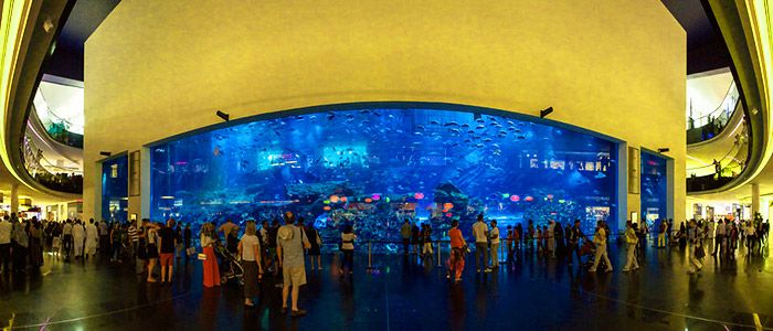 List Of Top 10 Places To Visit In Dubai For Free