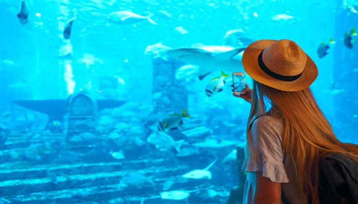 Dubai Aquarium