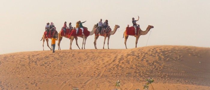 Dubai Arabia Desert