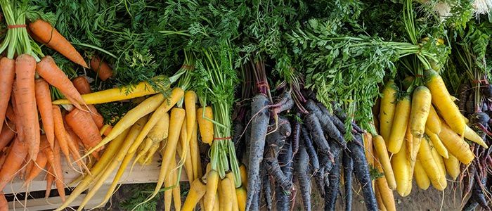 Dubai Farmer's market