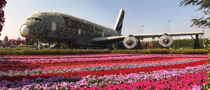 Dubai Miracle Garden