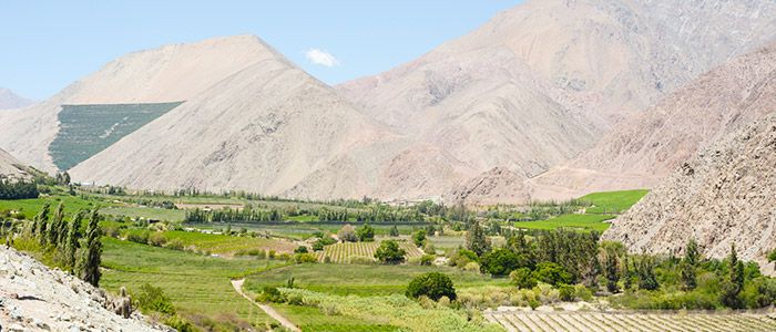 ELQUI VALLEY