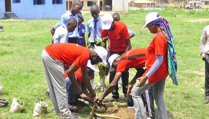 Efforts Of  The Travelwings Green Brigade, tree planting