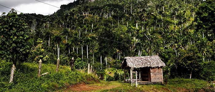 El Yunque National Forest