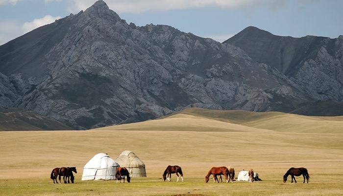 Expanses of Kazakhstan