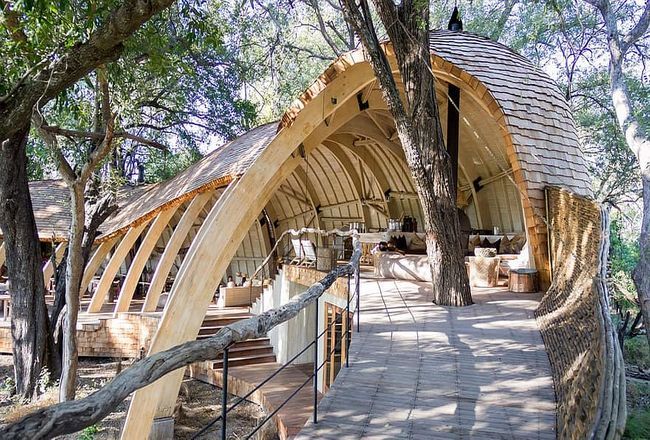 7 Reasons Why Go For A Luxury Safari In Africa?