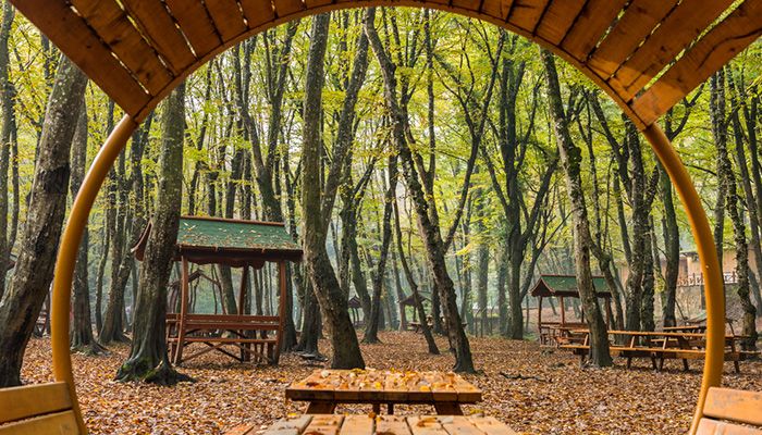 Fascinating Belgrade