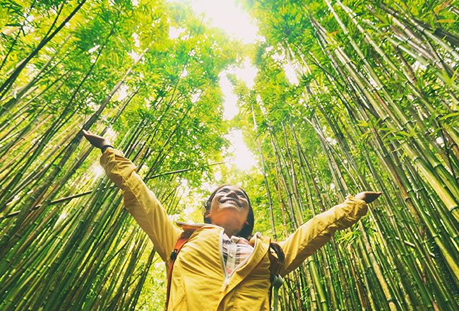 Travel Green: Top Reasons To Make Your Next Vacation A Nature Travel