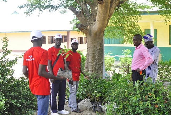 Fruitopia: Tree Planting CSR Activity In Nigeria