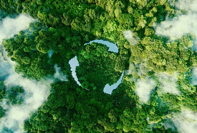 Sustainable Stays: 7 Best Eco-Friendly Nature Retreats To Bookmark