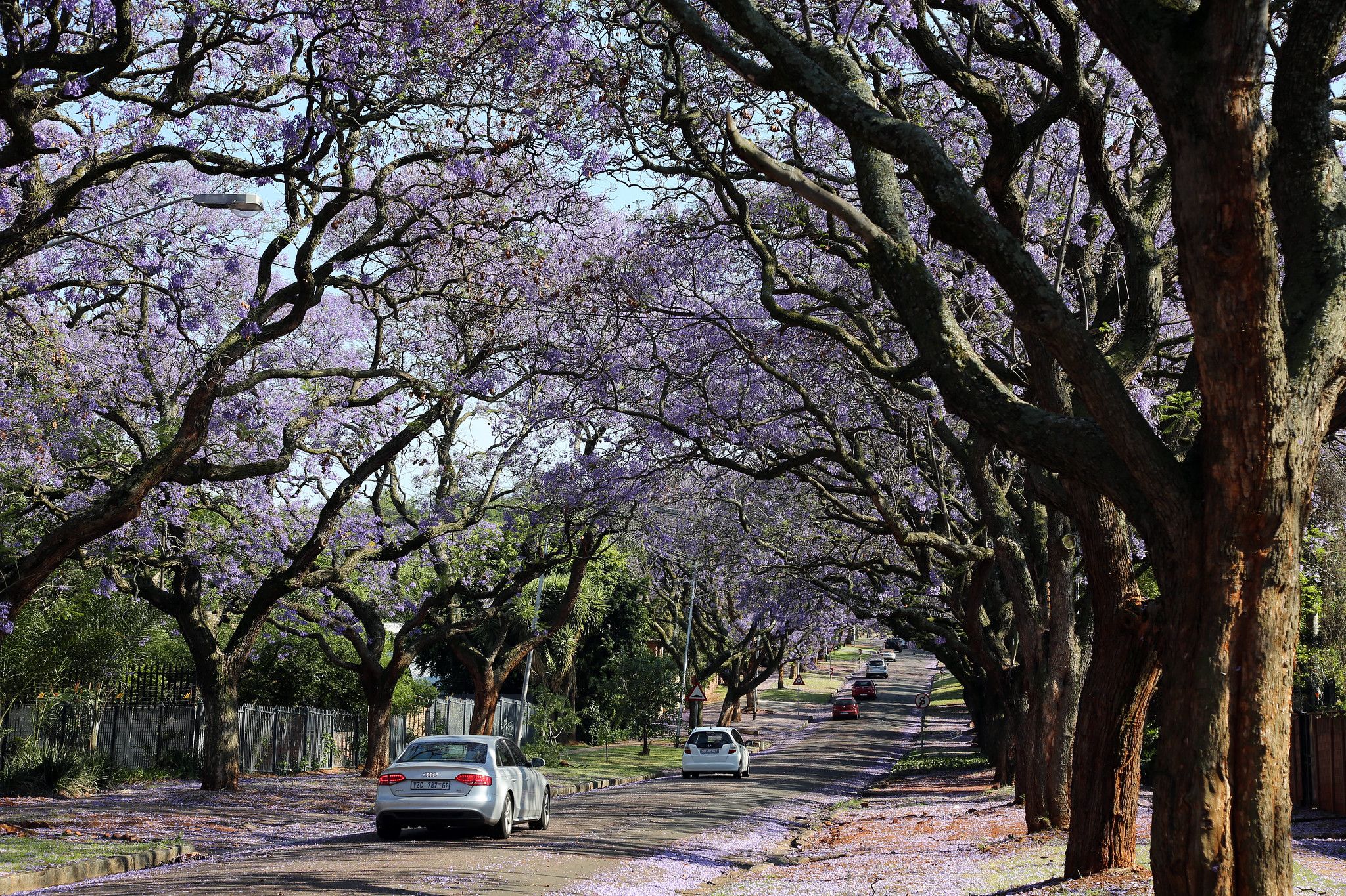 How To Reach Pretoria, While On A South Africa Holiday?