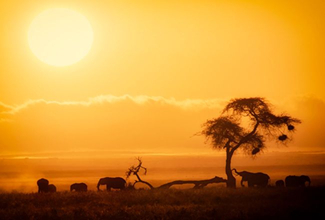 Do Not Miss This On Your Female Solo Travel In Africa