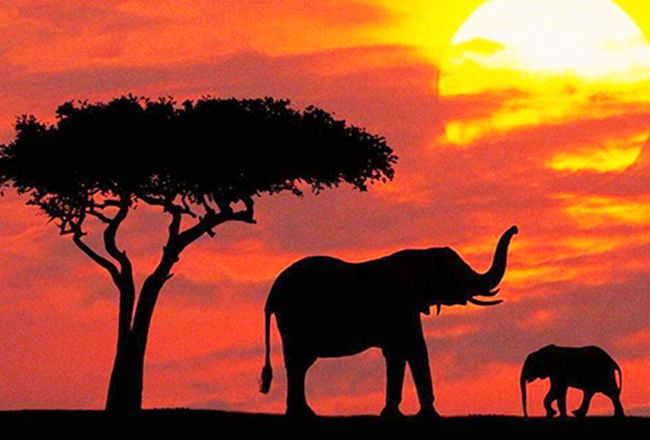 Most Spectacular Hidden Gems To See On Your Kenya Holidays