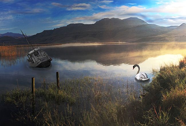 30+ Unique Things To Do In South Africa