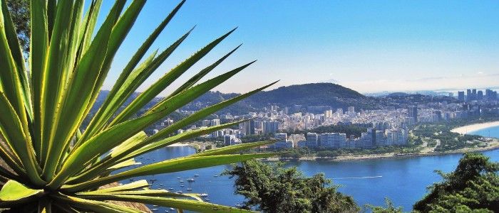 Flamengo Park brazil