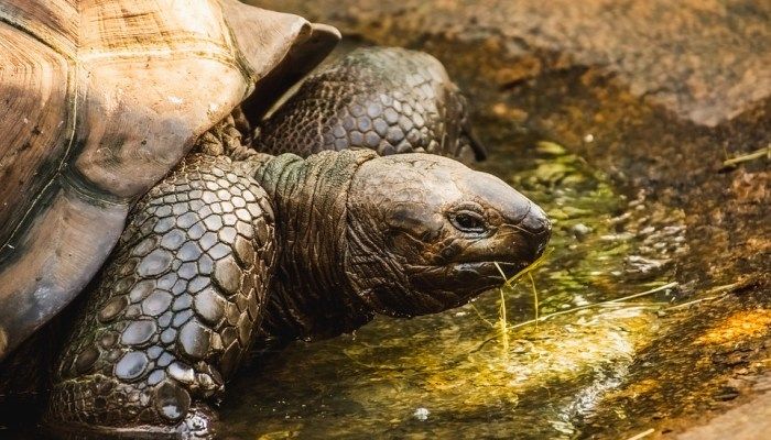 Galapagos, sustainable travel experiences