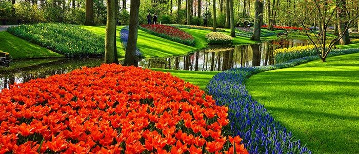 Gardens-netherlands.jpg