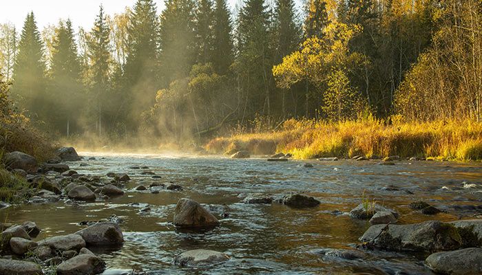 Gauja National Park