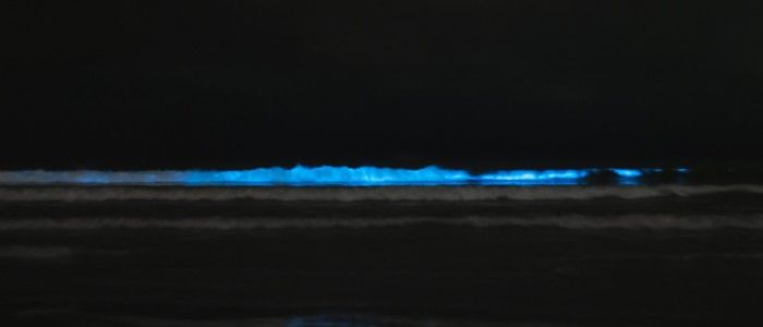 things to do in Maldives - Glowing beach