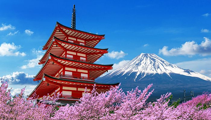 Go High On Mt Fuji