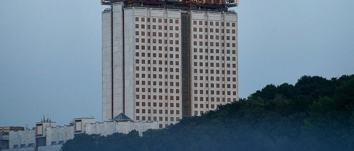 Golden brains building