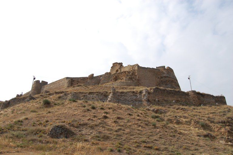 Gori