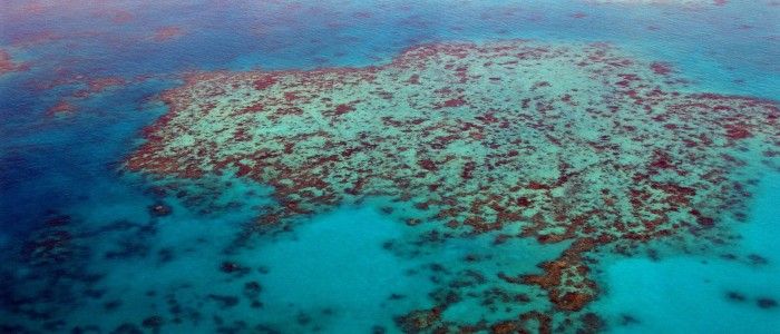 Great-barrier-reef.jpg