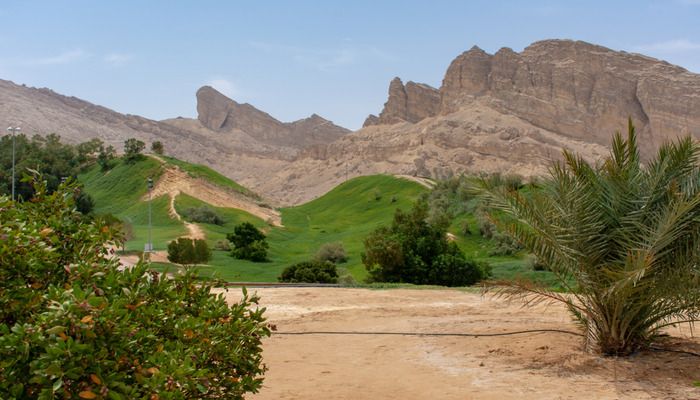 Green Mubazzarah Park