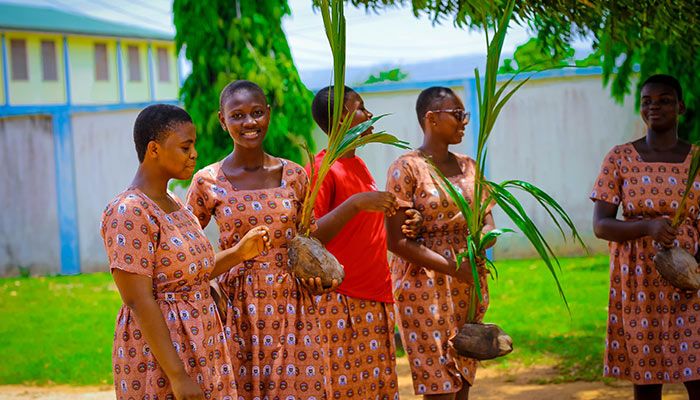 Going Green: A Sustainable Development Initiative