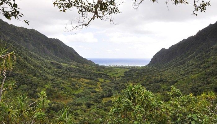 Hawaii