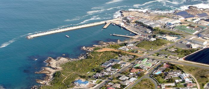 Hermanus.jpg