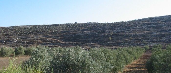 top things to do in Palestine - Hiking Palestine