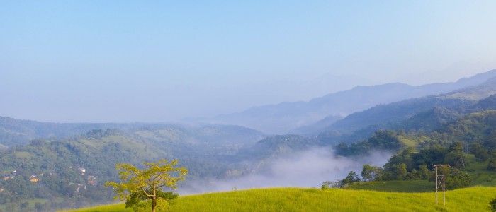Things to do in India - Himachal Pradesh meadows