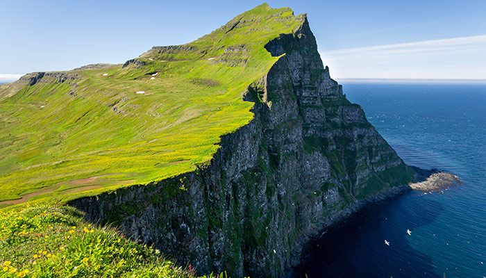 Spot Wildlife At The Hornstrandir Nature Reserve