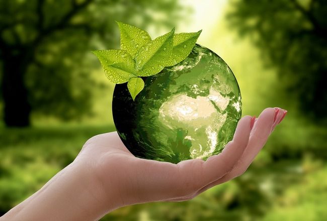 9 Smart & Easy Tips On How To Travel Sustainably : A Guide