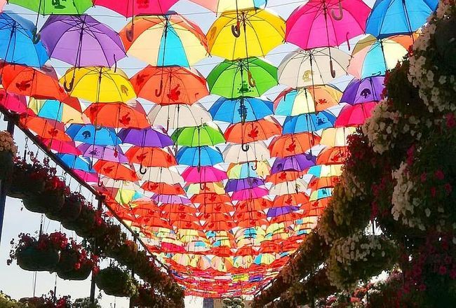 Celebrate The Dubai Shopping Festival