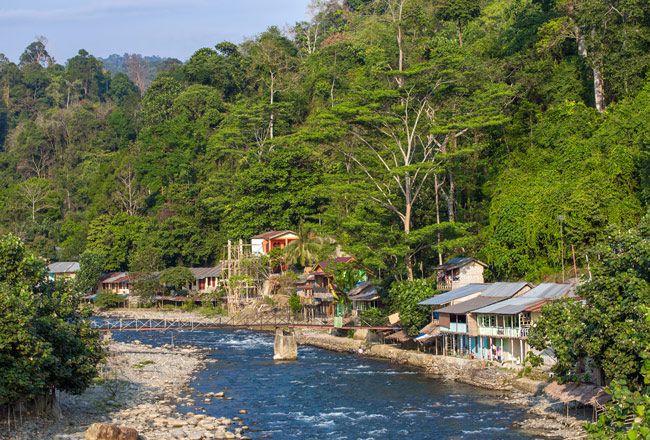 15+ Incredible Things To Do In Bukit Lawang