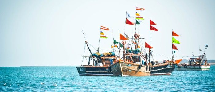 Things to do in India - Indian ocean sailing