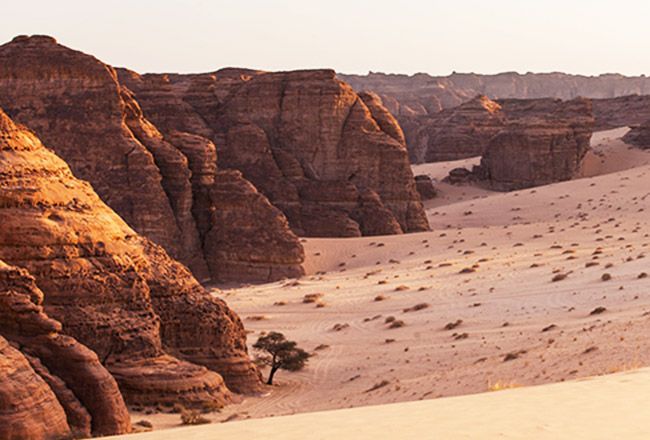 Adventure Trail in Al Ula