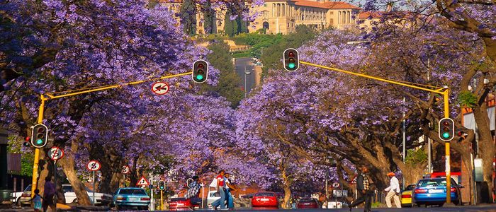 South Africa Staycations - Pretoria