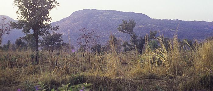 Jos