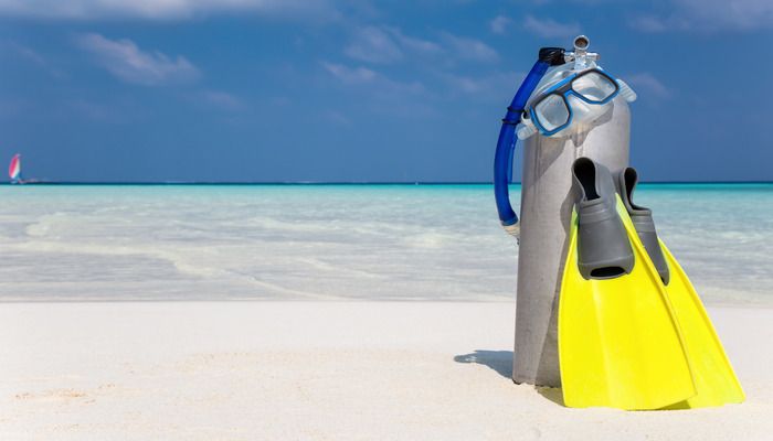 Beauty Beneath The Waves : 8 Top Snorkelling & Scuba Diving Spots In (And Around) Dubai