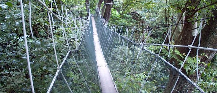 Visit Kuala Lumpur for its wildlife and rain forests