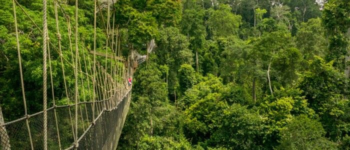 Kakum National Park